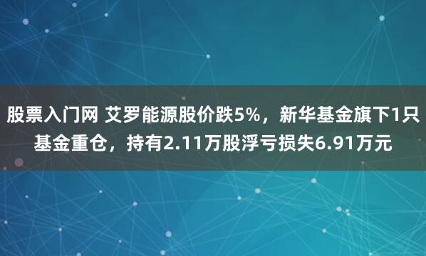 股票入门网 艾罗能源股价跌5%,新华基金旗下1只基金重仓,持有2.11万股浮亏损失6.91万元