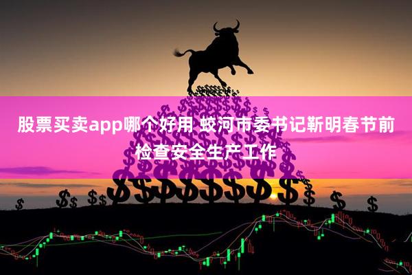 股票买卖app哪个好用 蛟河市委书记靳明春节前检查安全生产工作